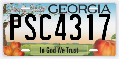 GA license plate PSC4317