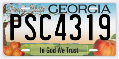GA license plate PSC4319