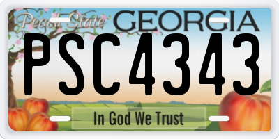 GA license plate PSC4343