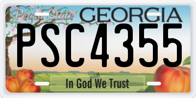 GA license plate PSC4355