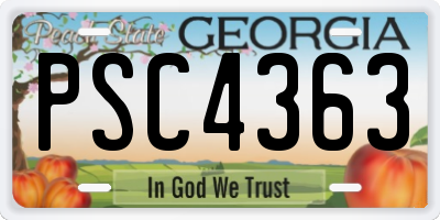 GA license plate PSC4363