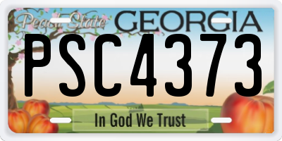 GA license plate PSC4373