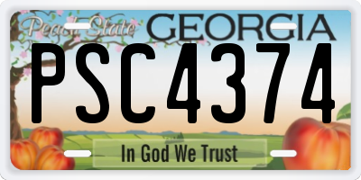 GA license plate PSC4374