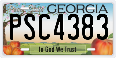 GA license plate PSC4383