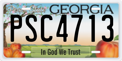 GA license plate PSC4713