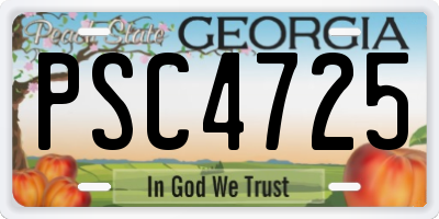 GA license plate PSC4725