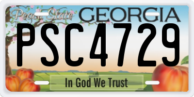 GA license plate PSC4729