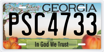 GA license plate PSC4733