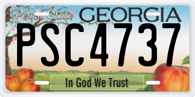 GA license plate PSC4737