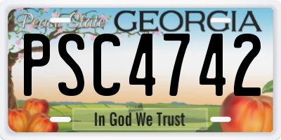 GA license plate PSC4742