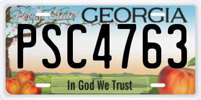 GA license plate PSC4763