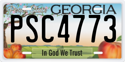GA license plate PSC4773