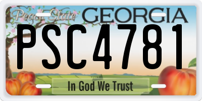 GA license plate PSC4781