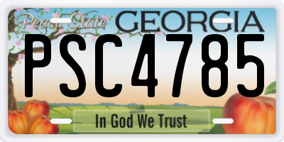 GA license plate PSC4785