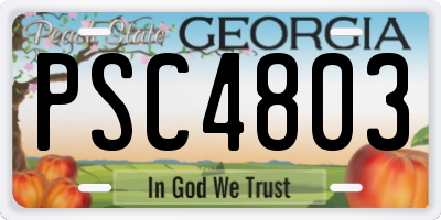 GA license plate PSC4803