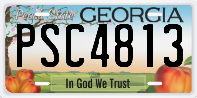 GA license plate PSC4813