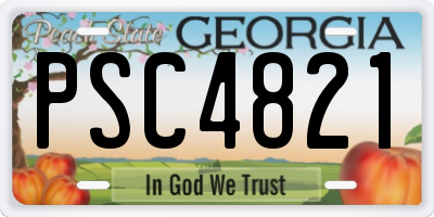 GA license plate PSC4821