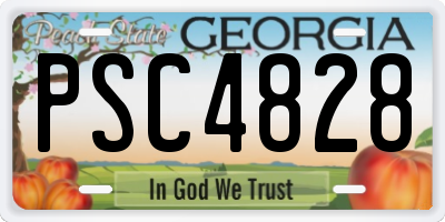 GA license plate PSC4828