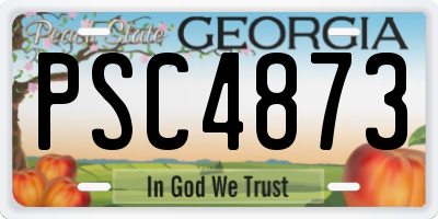 GA license plate PSC4873