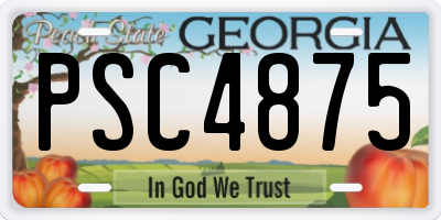 GA license plate PSC4875