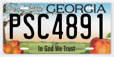 GA license plate PSC4891