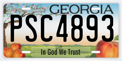 GA license plate PSC4893