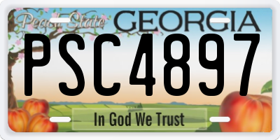 GA license plate PSC4897