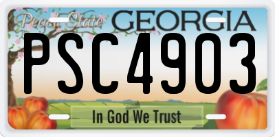 GA license plate PSC4903