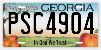 GA license plate PSC4904