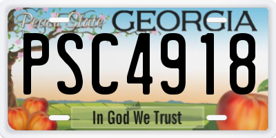 GA license plate PSC4918