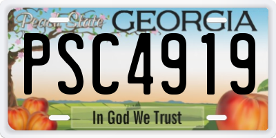 GA license plate PSC4919