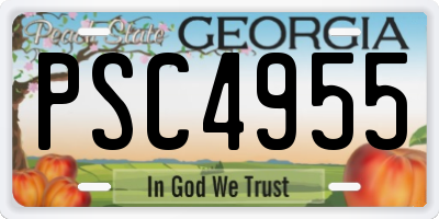GA license plate PSC4955