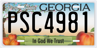 GA license plate PSC4981