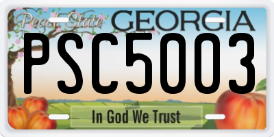 GA license plate PSC5003