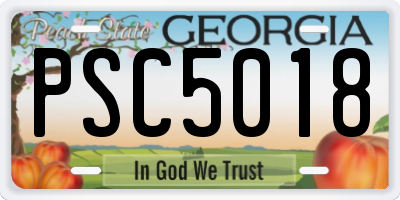 GA license plate PSC5018