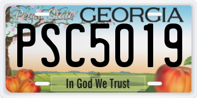 GA license plate PSC5019
