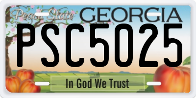 GA license plate PSC5025
