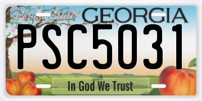 GA license plate PSC5031