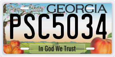 GA license plate PSC5034