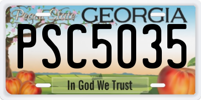 GA license plate PSC5035