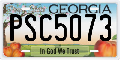 GA license plate PSC5073