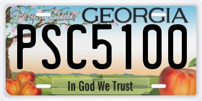 GA license plate PSC5100
