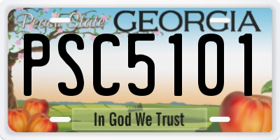 GA license plate PSC5101