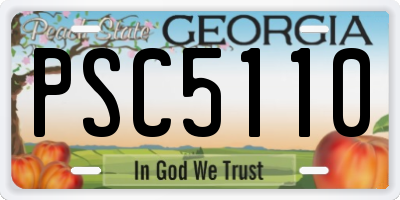 GA license plate PSC5110