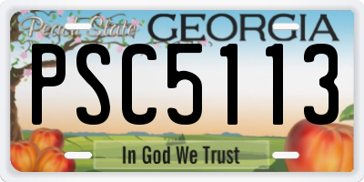 GA license plate PSC5113