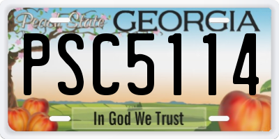 GA license plate PSC5114