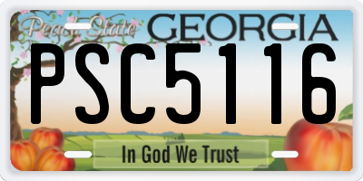 GA license plate PSC5116