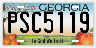 GA license plate PSC5119