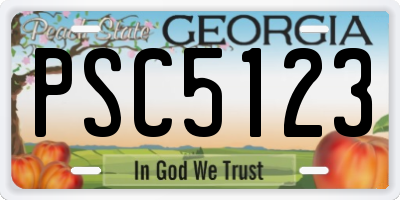 GA license plate PSC5123