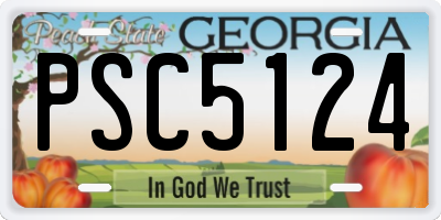 GA license plate PSC5124